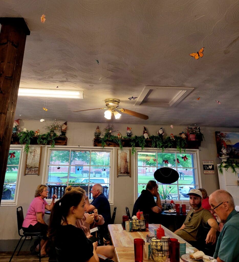 A casual restaurant or café interior with diners seated at tables, decorated with hanging plants and natural lighting from large windows.